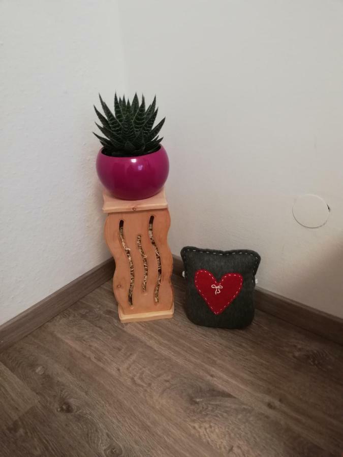 Schmaranzer Apartment Bad Ischl Luaran gambar