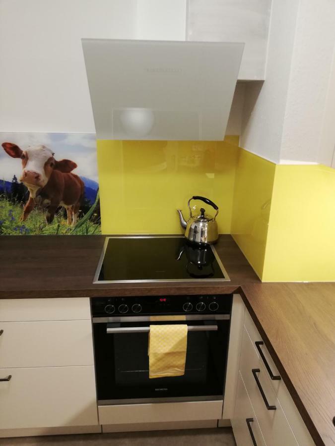 Schmaranzer Apartment Bad Ischl Luaran gambar